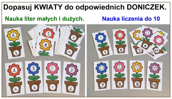 Kwiaty w doniczkach - pomoc dydaktyczna plik PDF