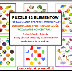 puzzle, układanka, percepcja wzrokowa