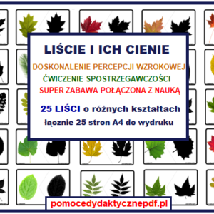 spostrzegawczość, koncentracja, jesienne pomoce, cienie, percepcja wzrokowa, liście