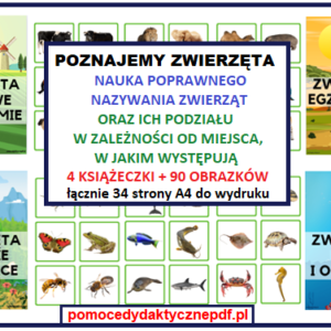 Nauka poprawnego nazywania i podziału zwierząt- pomoc dydaktyczna pdf