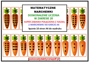 Matematyczne Marchewki Pomoce Dydaktyczne Pdf