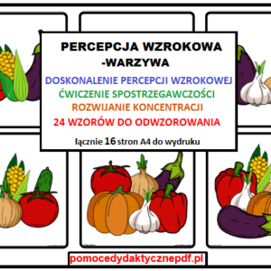 percepcja wzrokowa, warzywa, spostrzegawczość, koncentracja - pdf