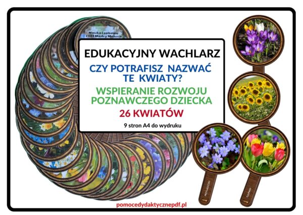 edukacyjny wachlarz, wspieranie rozwoju poznawczego dziecka, kwiaty - pdf