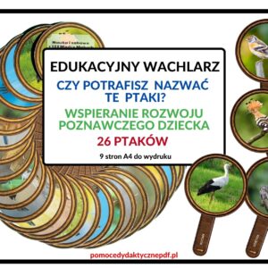 edukacyjny wachlarz, wspieranie rozwoju poznawczego dziecka, ptaki - pdf