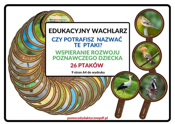 edukacyjny wachlarz, wspieranie rozwoju poznawczego dziecka, ptaki - pdf