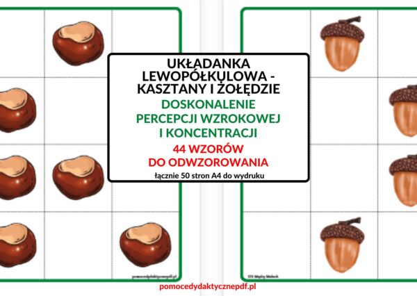 KASZTANY, ŻOŁĘDZIE, UKŁADANKA LEWOPÓŁKULOWA, percepcja wzrokowa, Pomoce dydaktyczne PDF, Nauka przez zabawę, Pomoce pdf