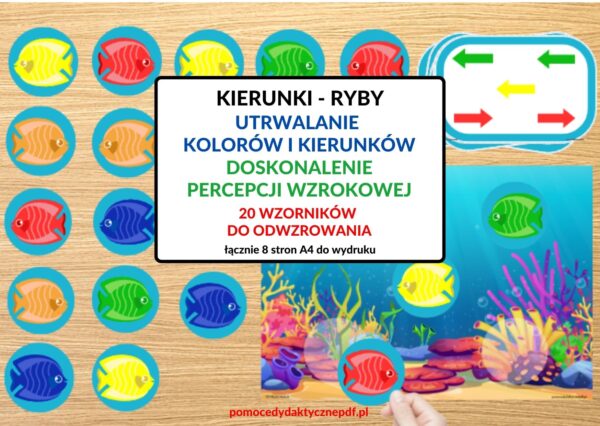 KOLORY, KIERUNKI, PERCEPCJA WZROKOWA, Pomoce dydaktyczne PDF, Nauka przez zabawę, Pomoce pdf