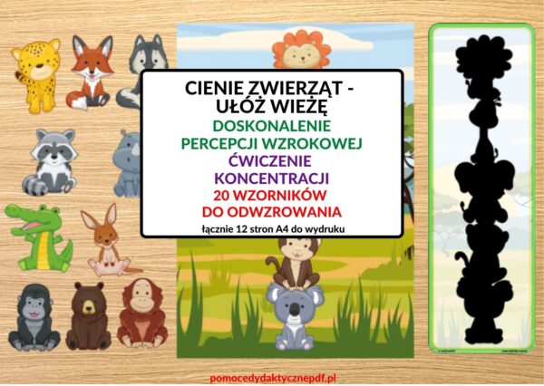 zwierzęta, cienie, KONCENTRACJA, PERCEPCJA WZROKOWA, Pomoce dydaktyczne PDF, Nauka przez zabawę, Pomoce pdf