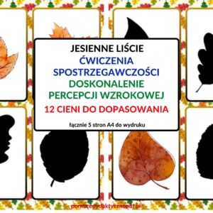 spostrzegawczość, koncentracja, zabawy na sali, liście, cienie, jesień - pdf