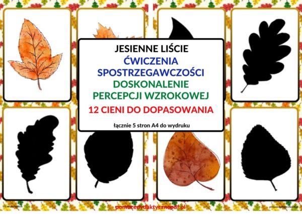 spostrzegawczość, koncentracja, zabawy na sali, liście, cienie, jesień - pdf