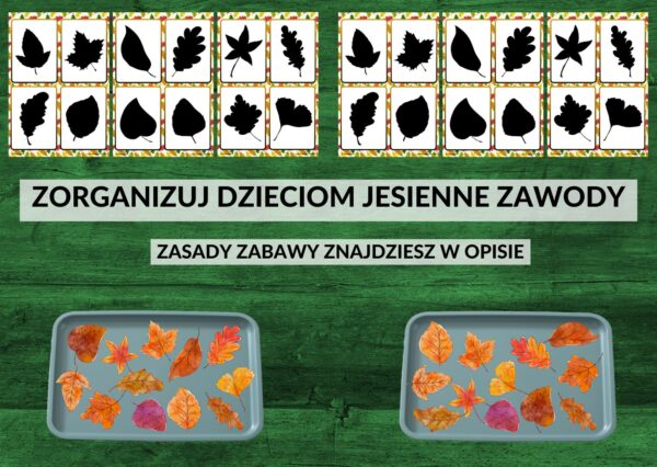 spostrzegawczość, koncentracja, zabawy na sali, liście, cienie, jesień - pdf