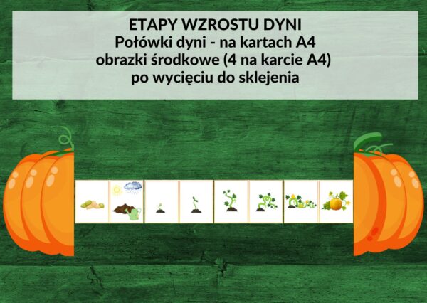 święto dyni, emocje, etap wzrostu dyni, karty pracy - pdf