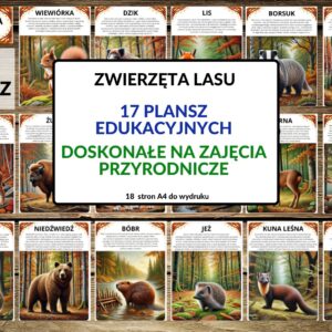 plansze edukacyjne, plansze przyrodnicze, zwierzęta lasu -pdf