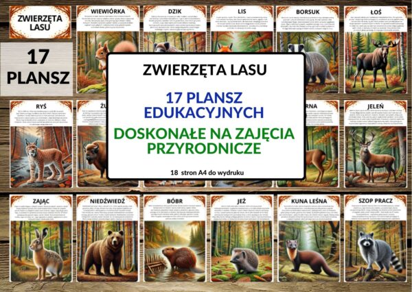 plansze edukacyjne, plansze przyrodnicze, zwierzęta lasu -pdf