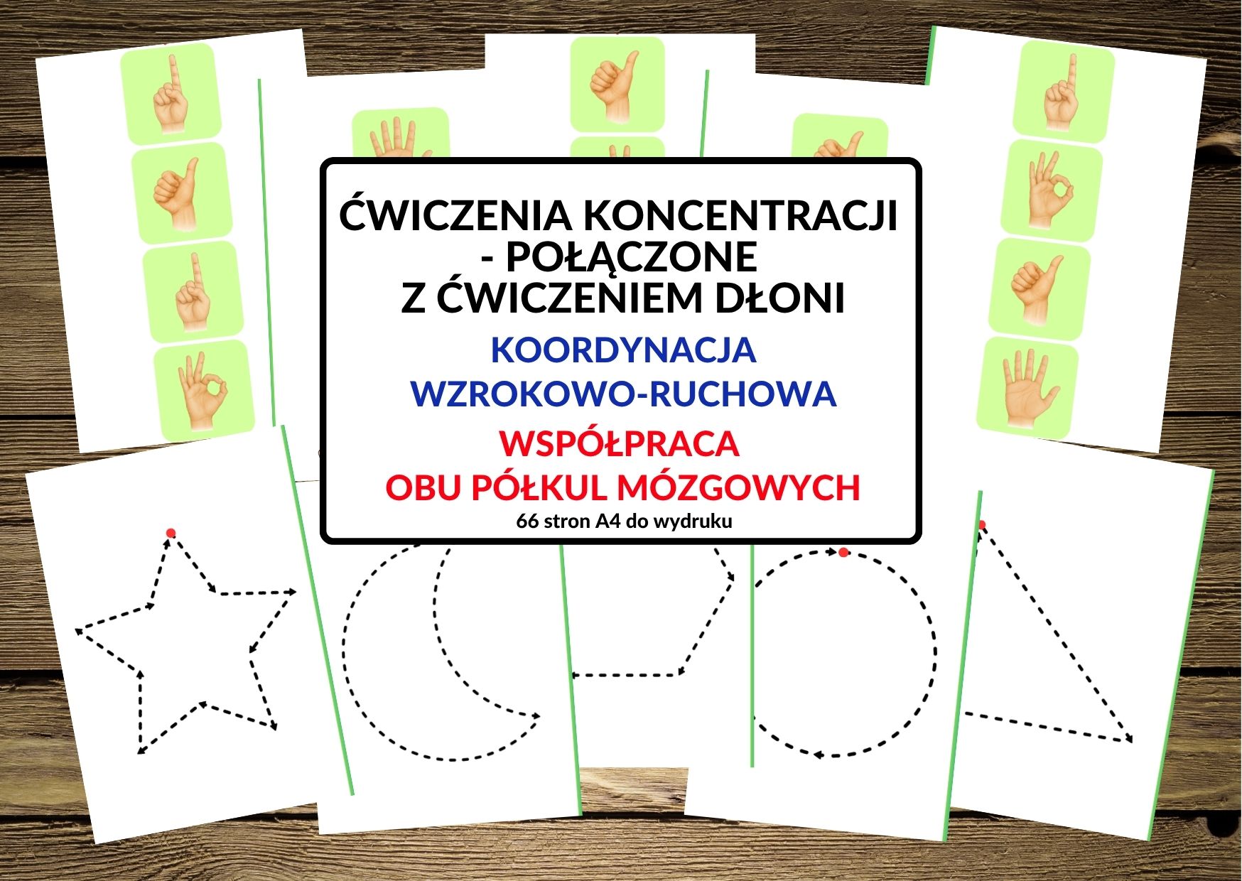 koncentracja, spostrzegawczość, skupienie, koordynacja wzrokowo-ruchowa, współpraca półkul obu mózgowych, ćwiczenia mózgu, trening mózgu, percepcja wzrokowo-ruchowa - pdf