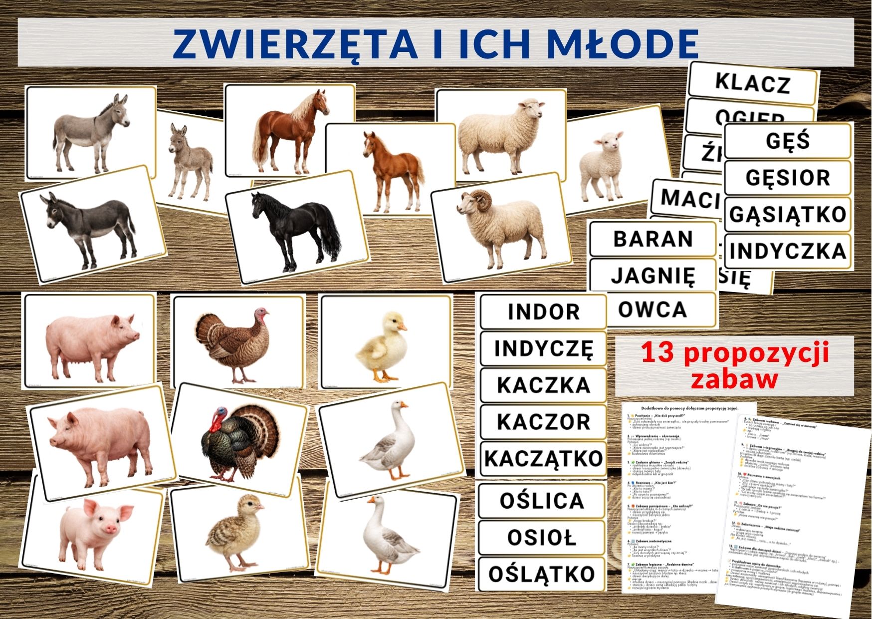 zwierzęta i ich młode, zwierzęta domowe - pdf