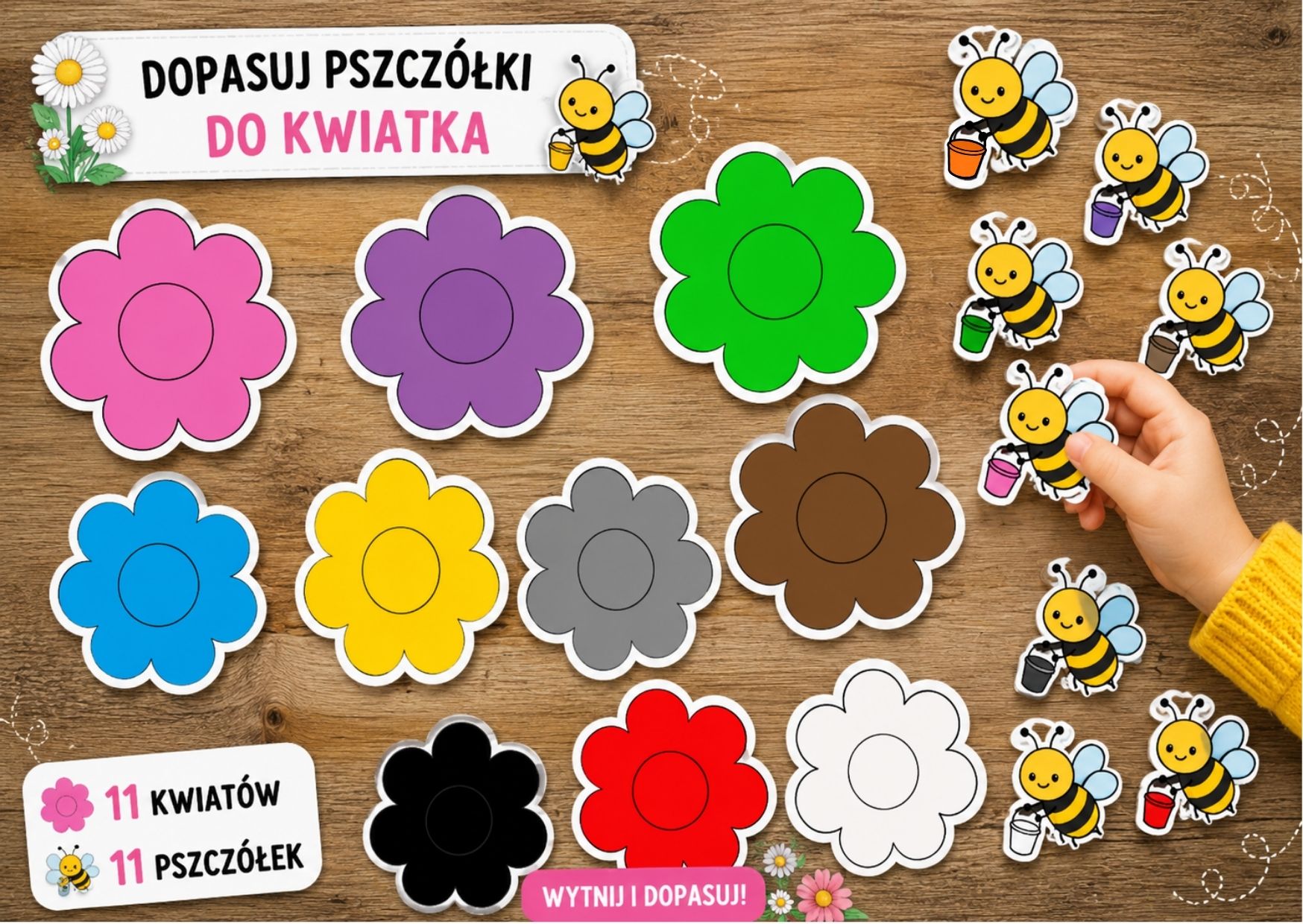 dzień pszczoły pomoce, pszczoły, nauka kolorów - pdf