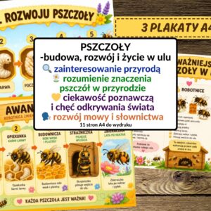 dzień pszczoły pomoce, pszczoły, budowa pszczoły, cykl życia pszczoły - pdf