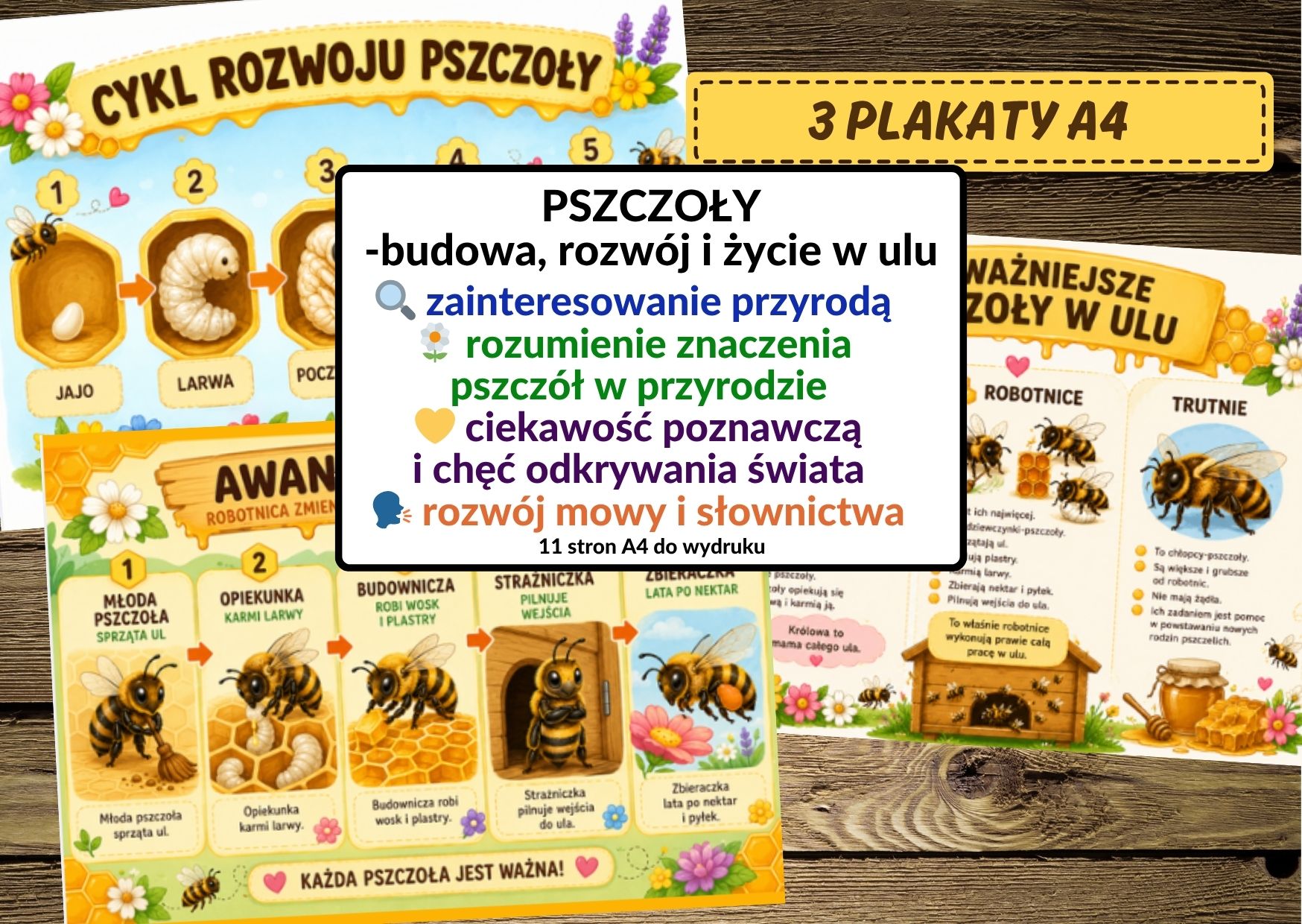 dzień pszczoły pomoce, pszczoły, budowa pszczoły, cykl życia pszczoły - pdf