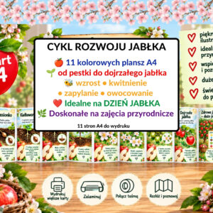 Cykl rozwoju jabłka, plansze edukacyjne, plansze przyrodnicze - pdf