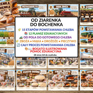 OD ZIARENKA DO BOCHENKA, ETAPY POWSTAWANIA CHLEBA, PLANSZE EDUKACYJNE - pdf